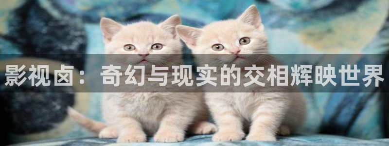 草莓视频在线观看影院：影视卤：奇幻与现实的交相辉映世界