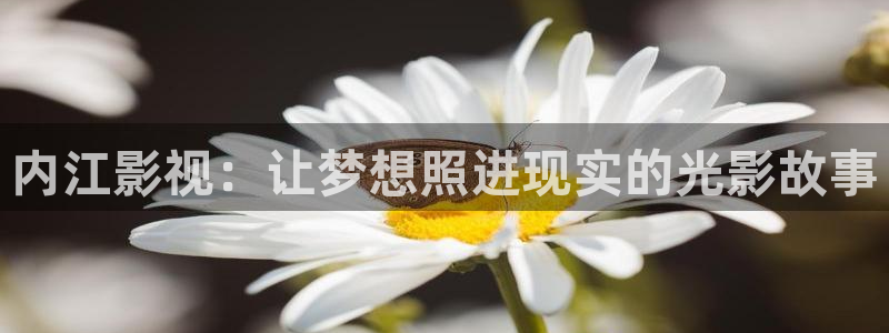 草莓下：内江影视：让梦想照进现实的光影故事