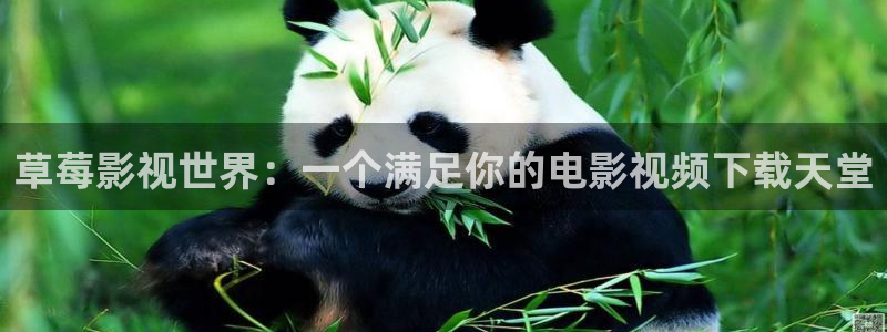 草莓视频观看：草莓影视世界：一个满足你的电影视频下载天堂